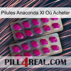 Pilules Anaconda Xl Où Acheter 10